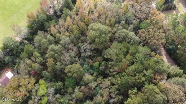 $16,500 | Mt Sinai Road, Foxworth, MS 39483