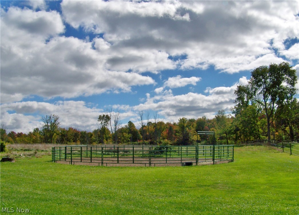 7150 Buffham Road Seville, OH 44273 - Photo 29 of 29 Paddock