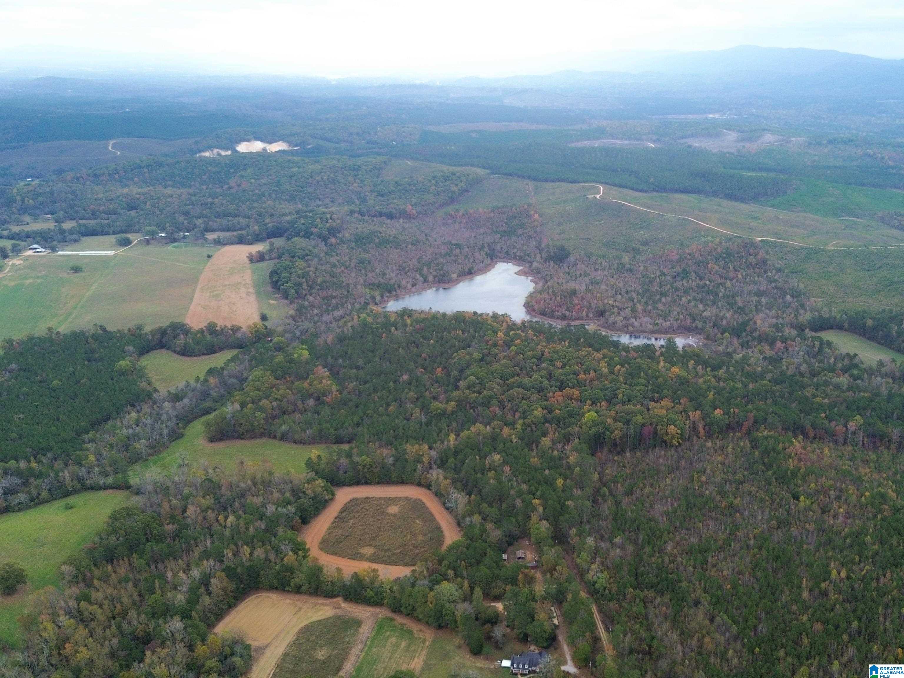 6070 Roy Webb Road Piedmont, AL 36272 - Photo 56 of 68