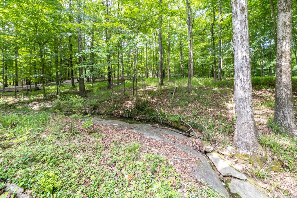 120 Ridge Court Cataula, GA 31804 - Photo 7 of 42 Gallery Image 7