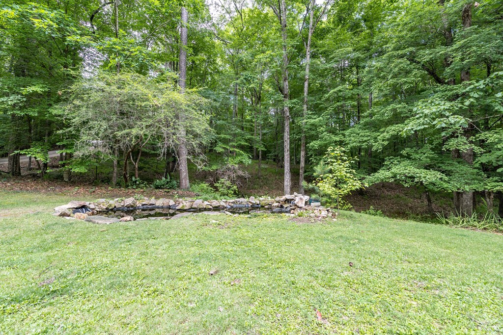120 Ridge Court Cataula, GA 31804 - Photo 8 of 42 Gallery Image 8