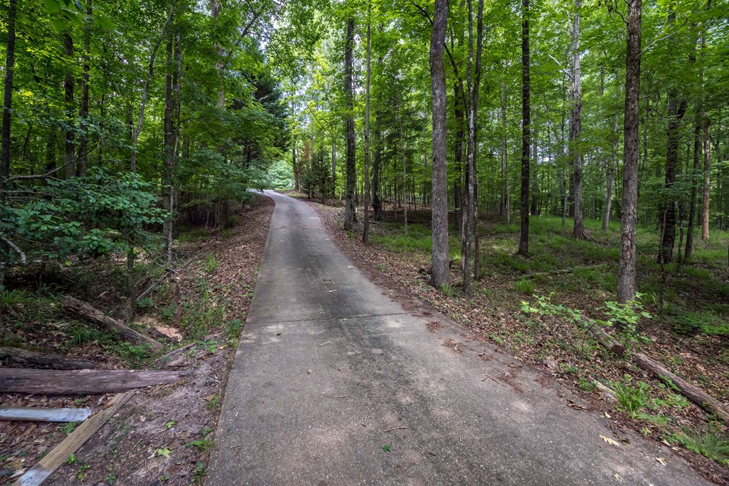 120 Ridge Court Cataula, GA 31804 - Photo 9 of 42 Gallery Image 9