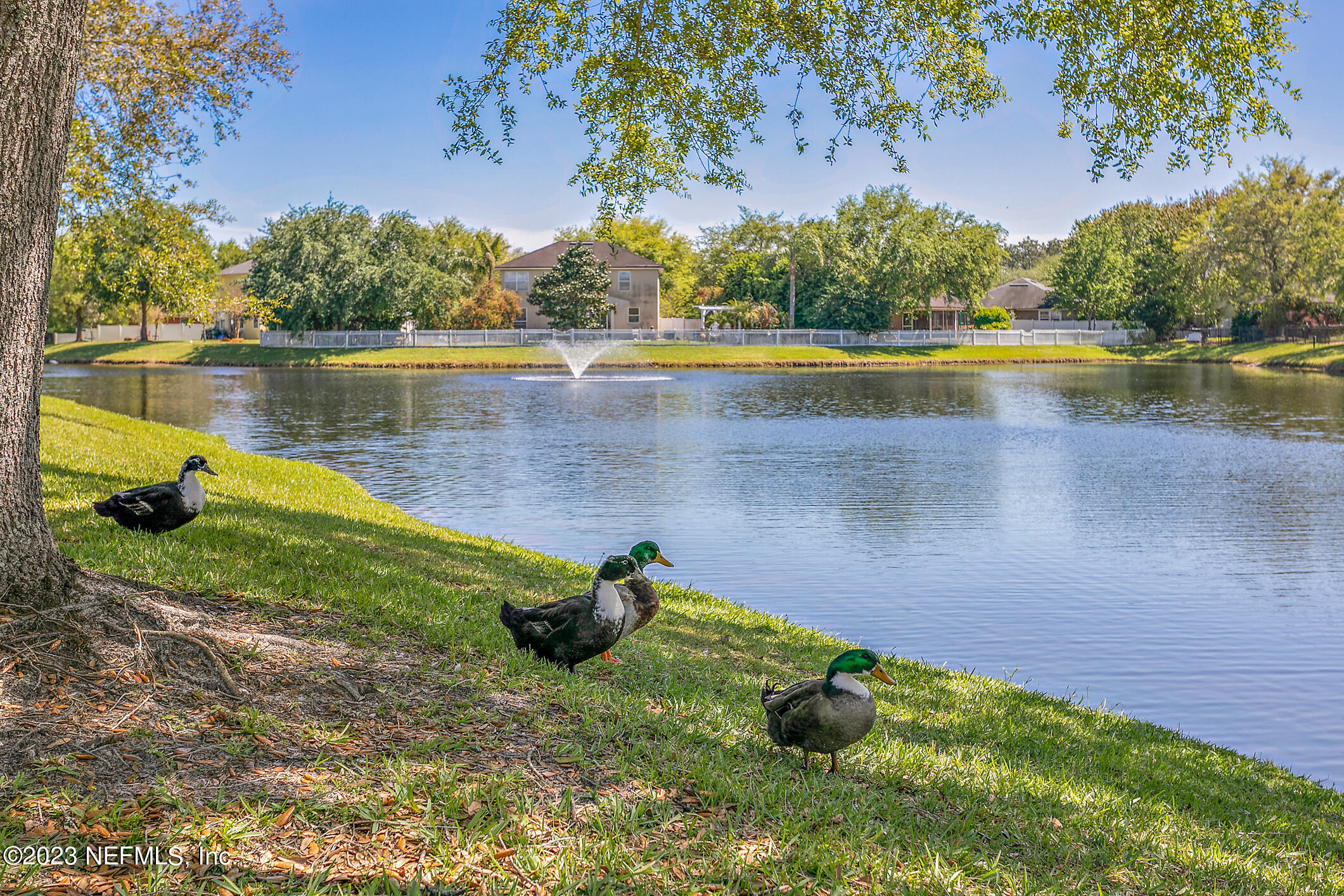 235 Pine Arbor Circle St. Augustine, FL 32084 - Photo 36 of 41 a lake view with a lake view