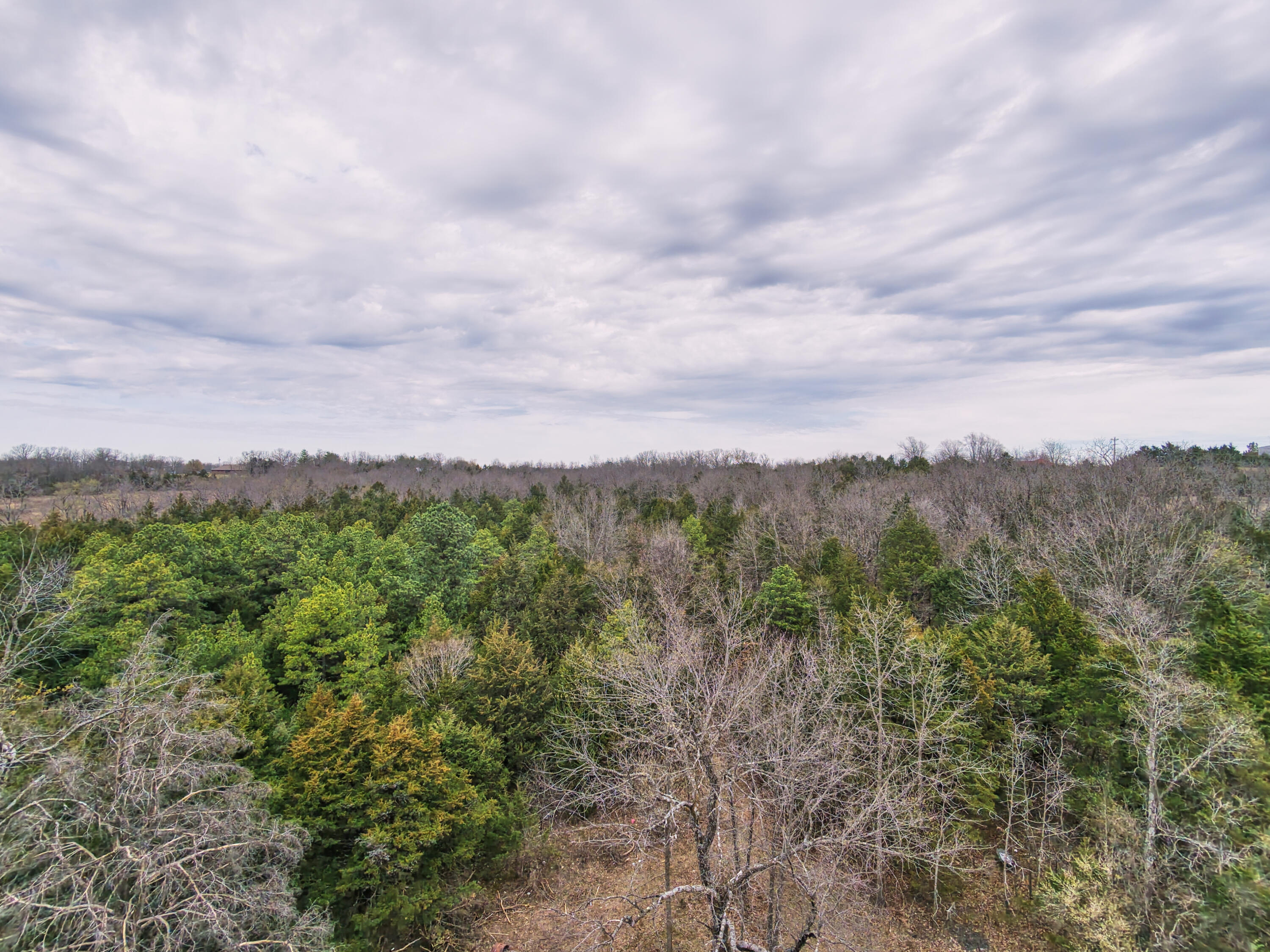 11239 Stave Mill Road Mountain Grove, MO 65711 - Photo 3 of 13 DJI_20260324102947_0024_D_1