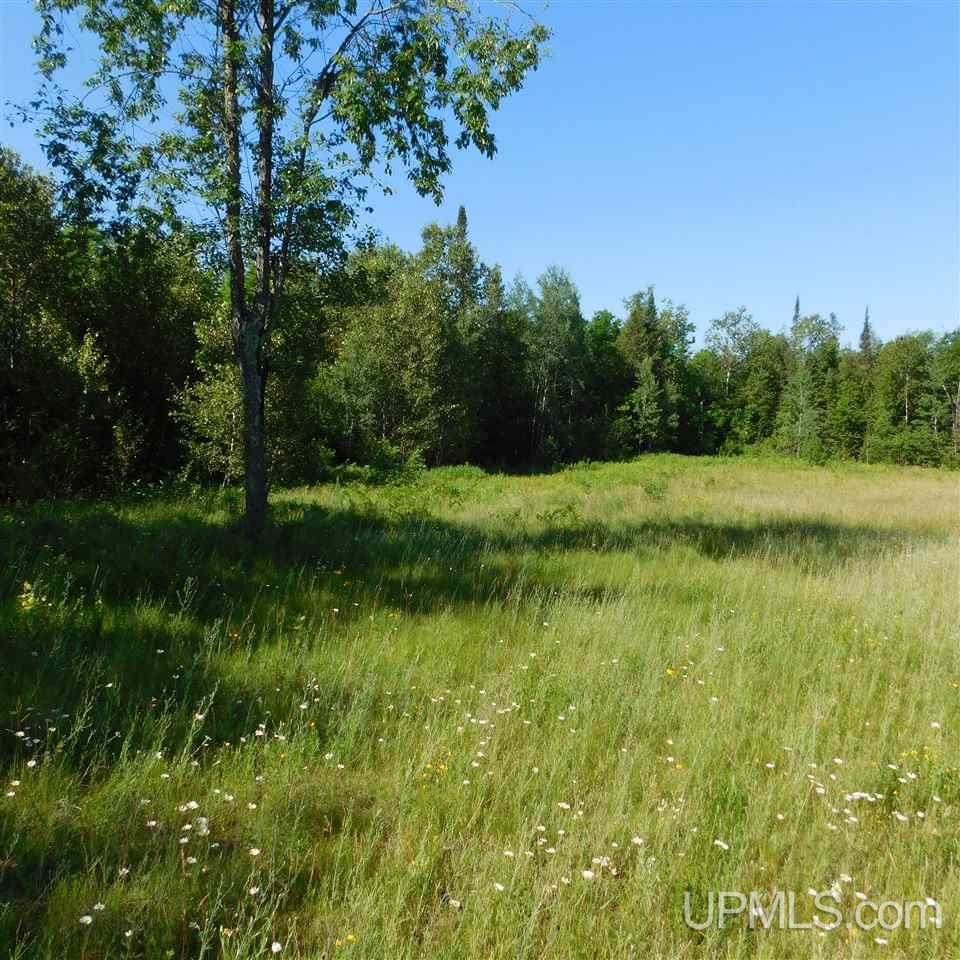 Tbd Tbd Off Fox Farm Road Hermansville, MI 49847 - Photo 5 of 12