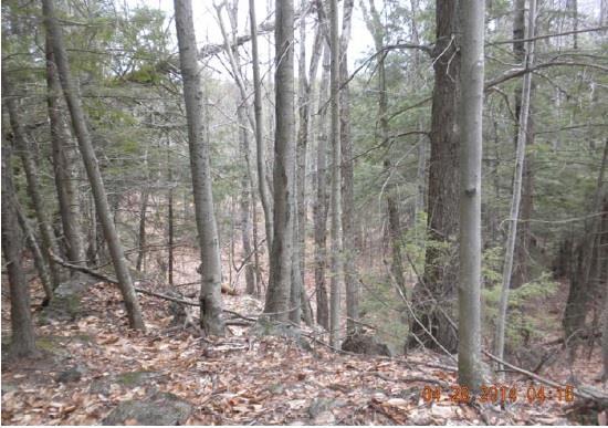 1037 Cape Road Limington, ME 04049 - Photo 14 of 21 Photo