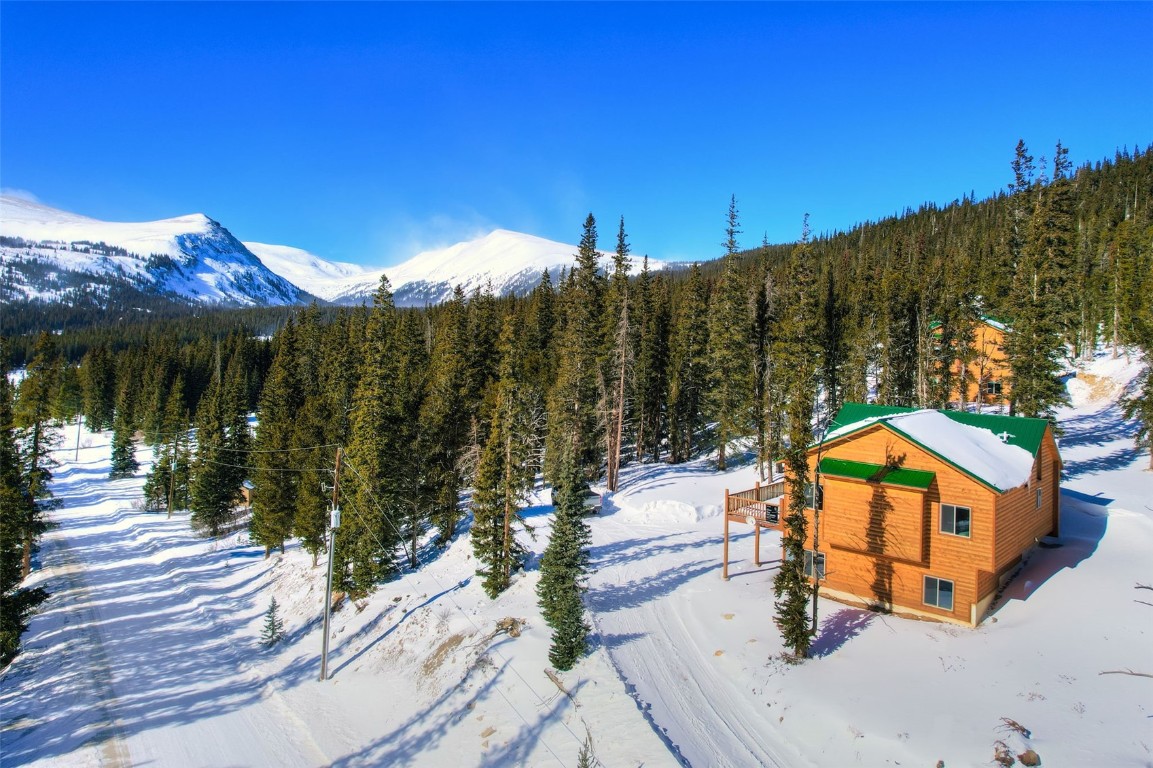 207 Pine Cone Way Fairplay, CO 80440 - Photo 34 of 45 a view of a houses with a yard