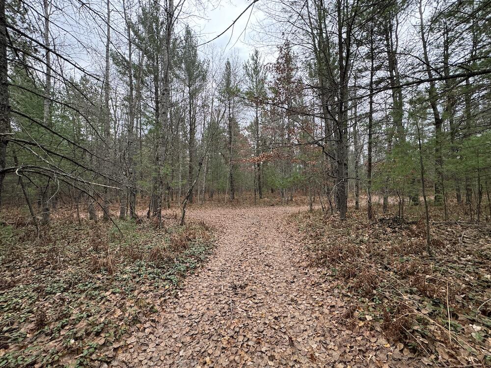 Vl Riverview Road Southeast Kalkaska, MI 49646 - Photo 27 of 40