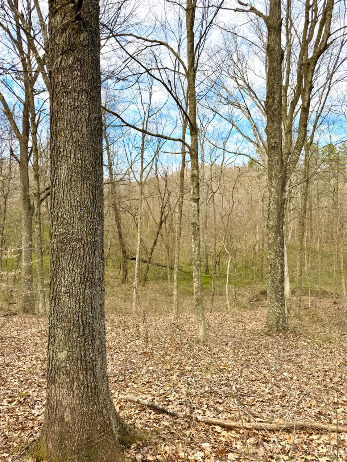 0 Fyffe Hollow Road Chillicothe, OH 45601 - Photo 79 of 96