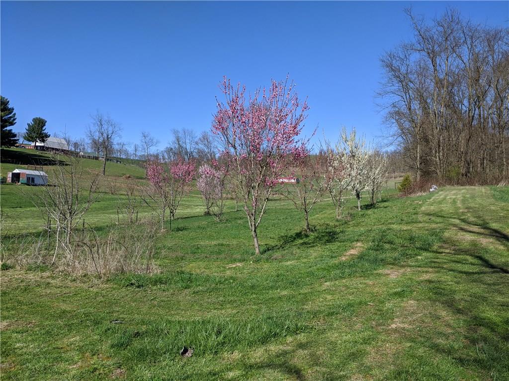 488 North Eighty Eight Road Carmichaels, PA 15320 - Photo 24 of 25 Gallery Image 24