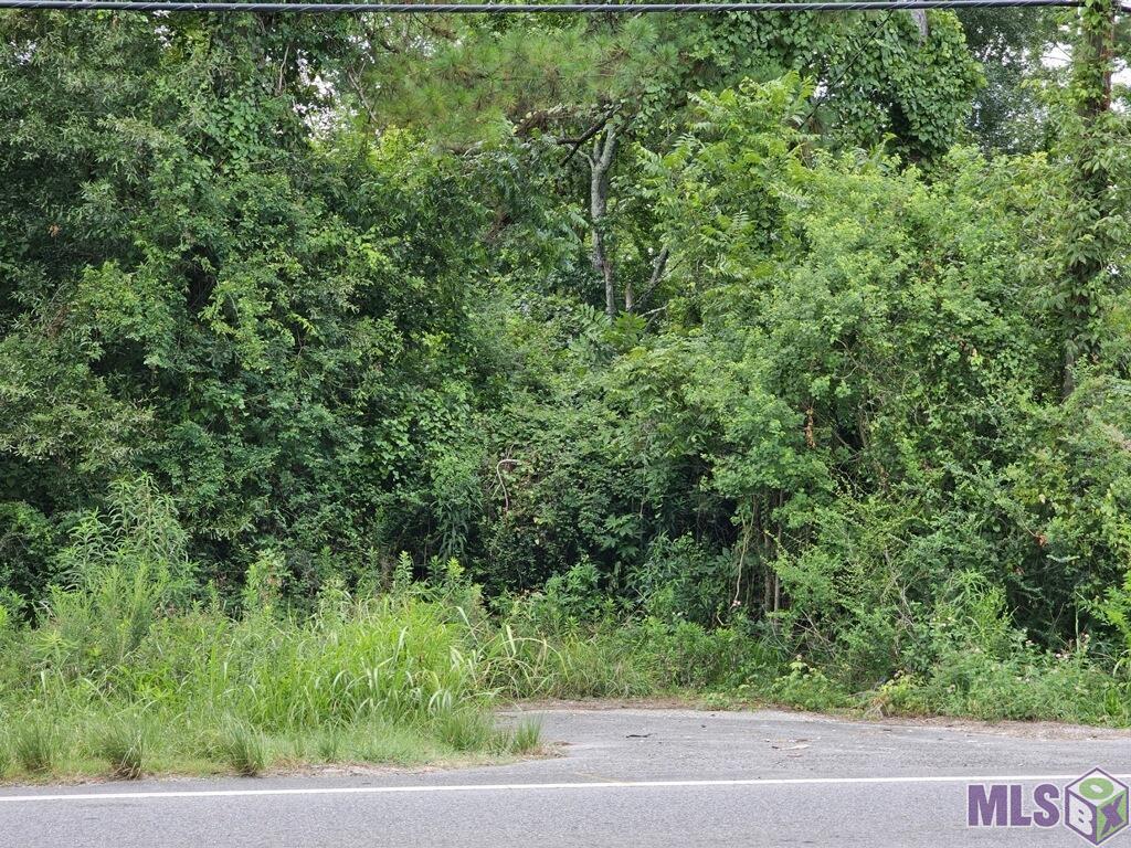 7223 Antioch Road Baton Rouge, LA 70817 - Photo 3 of 4