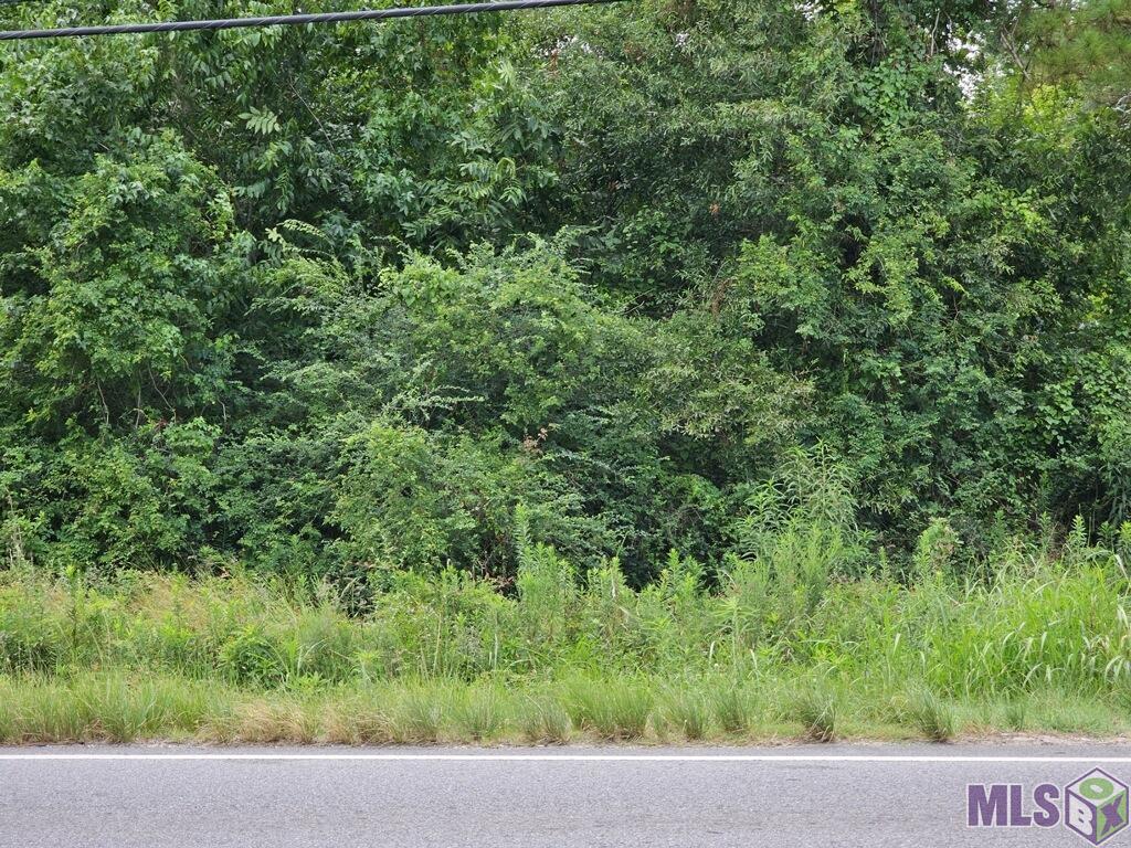7223 Antioch Road Baton Rouge, LA 70817 - Photo 4 of 4