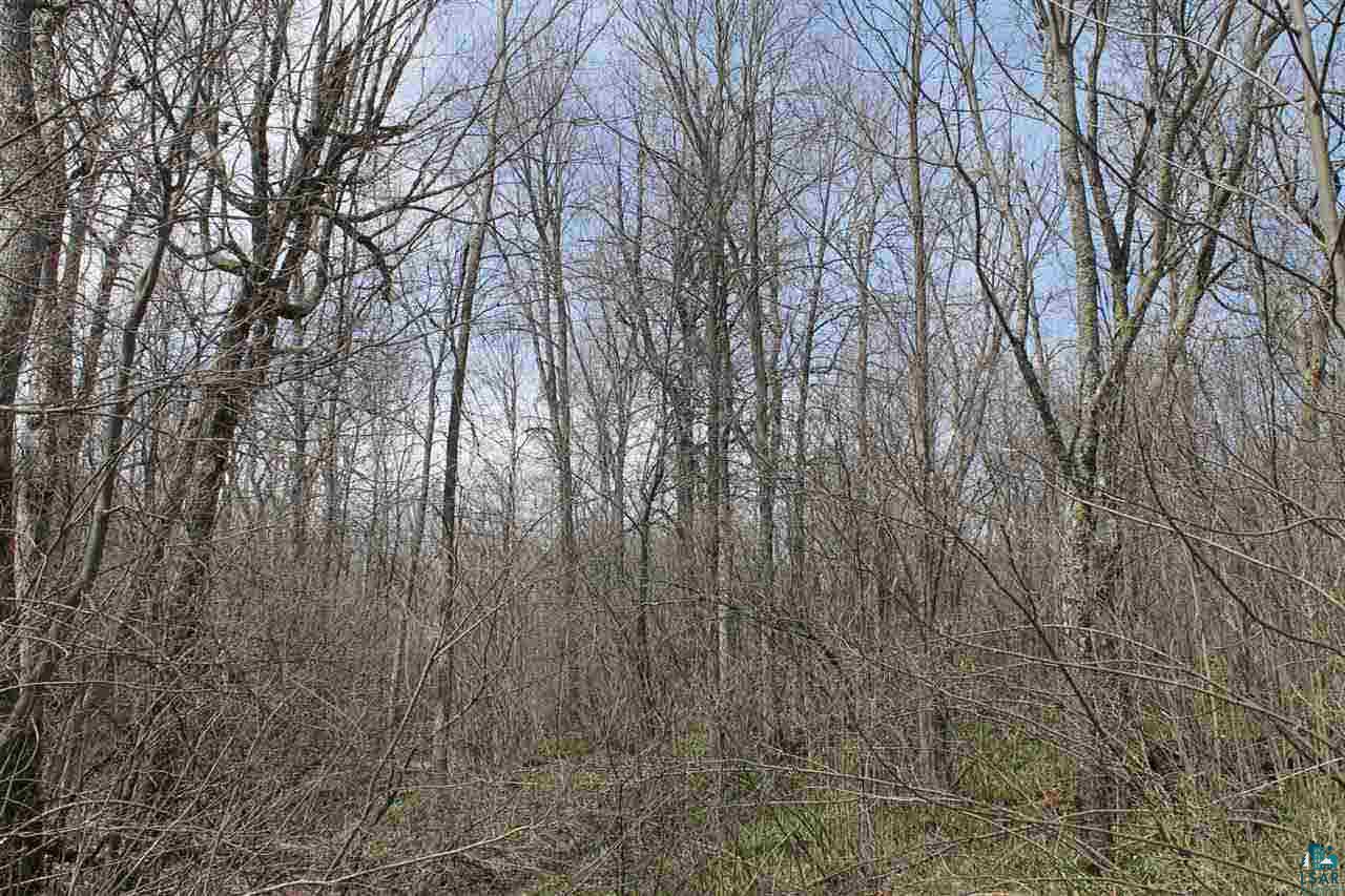 N North Altamont Road Mason, WI 54856 - Photo 3 of 3
