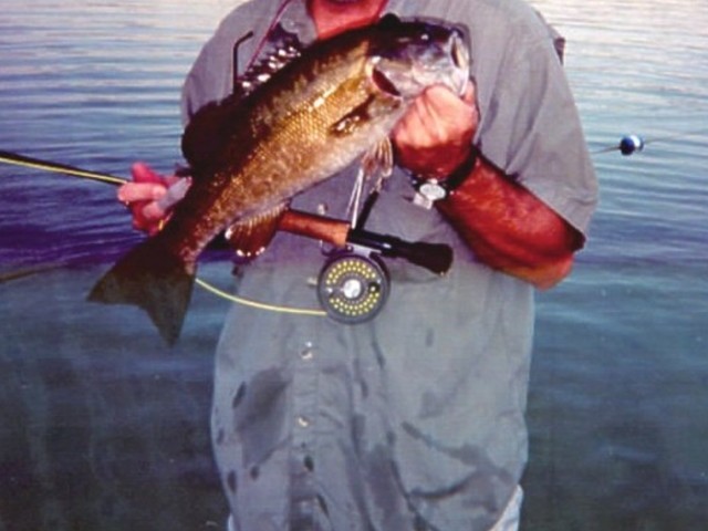 152 Beachview Court Varna, IL 61375 - Photo 48 of 49 a view of entryway with wooden floor
