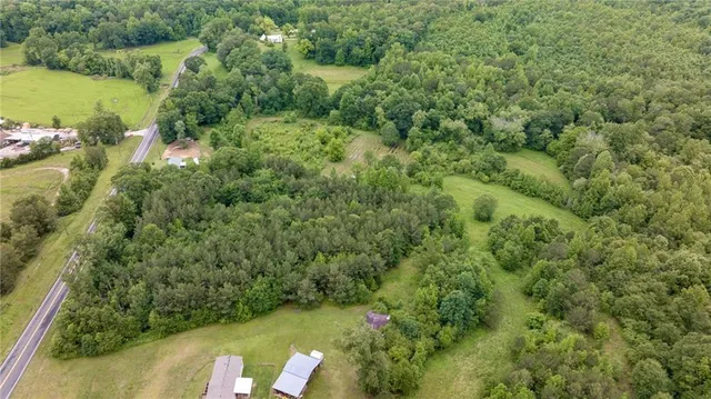a view of a forest with a houses