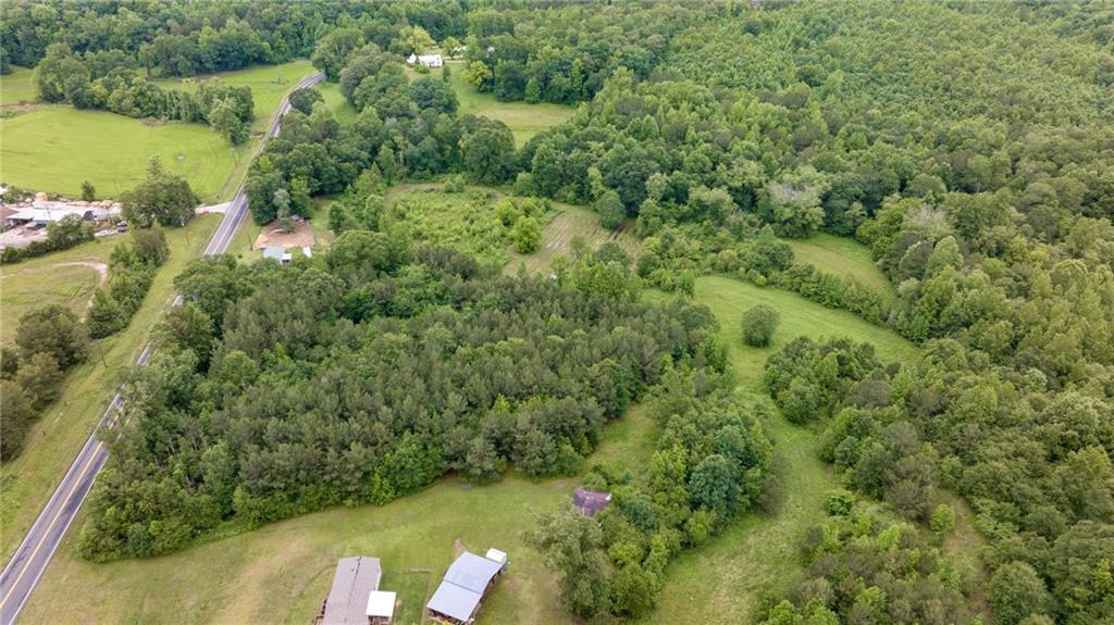 0 Highway 184 Toccoa, GA 30577 - Photo 3 of 10 a view of a forest with a houses
