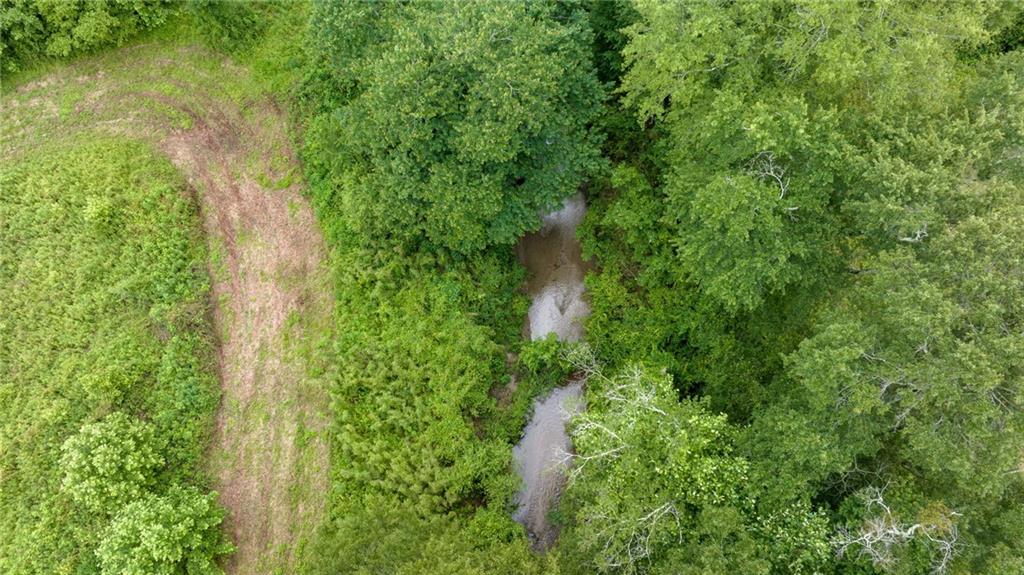 0 Highway 184 Toccoa, GA 30577 - Photo 4 of 10 a view of a garden with plants