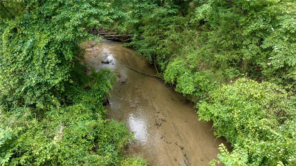 0 Highway 184 Toccoa, GA 30577 - Photo 5 of 10 a view of a yard with plants and a bench