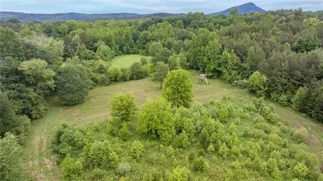 a view of a lush green forest with trees and houses