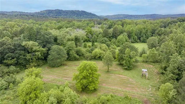 a view of a lush green hillside and a mountain view