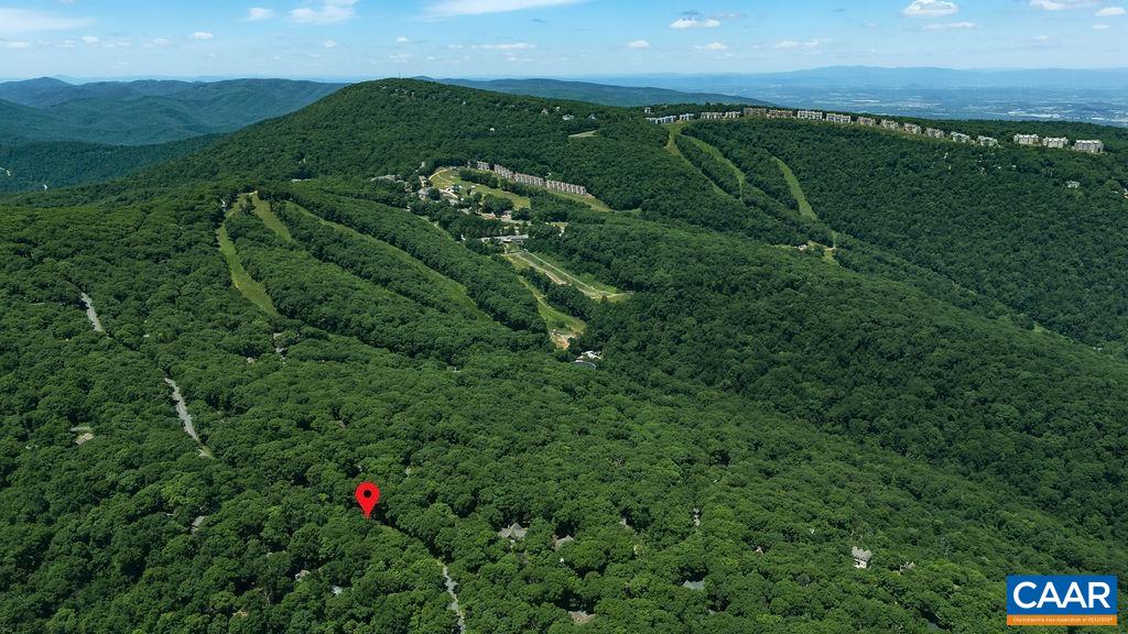 24 Pedlars Point Wintergreen, VA 22967 - Photo 46 of 51
