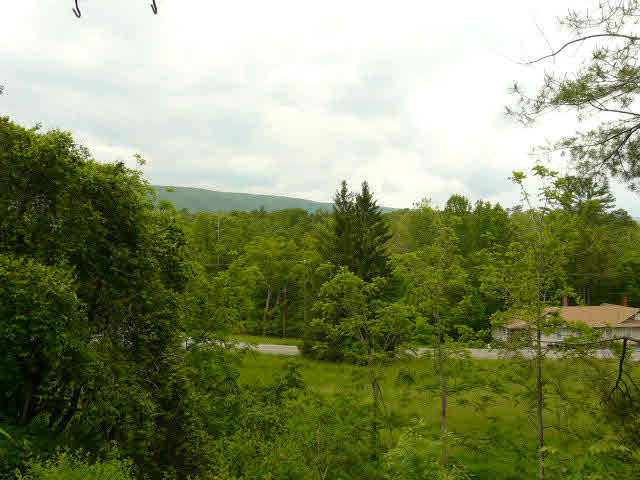 154 The Hill Road, Unit 19B Basye, VA 22810 - Photo 9 of 13 Gallery Image 9