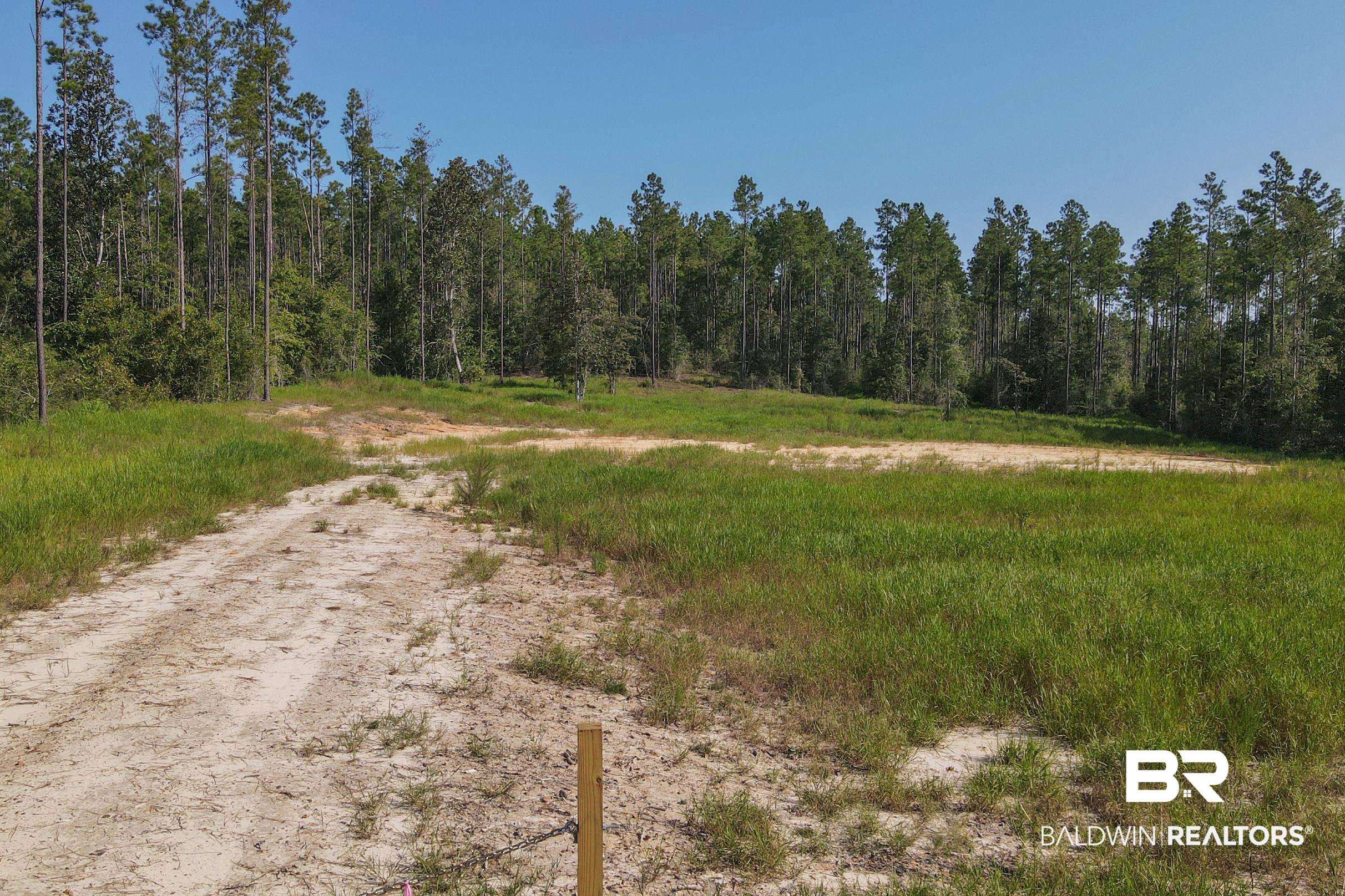 0 Red Hill Rd Extension Bay Minette, AL 36507 - Photo 2 of 9