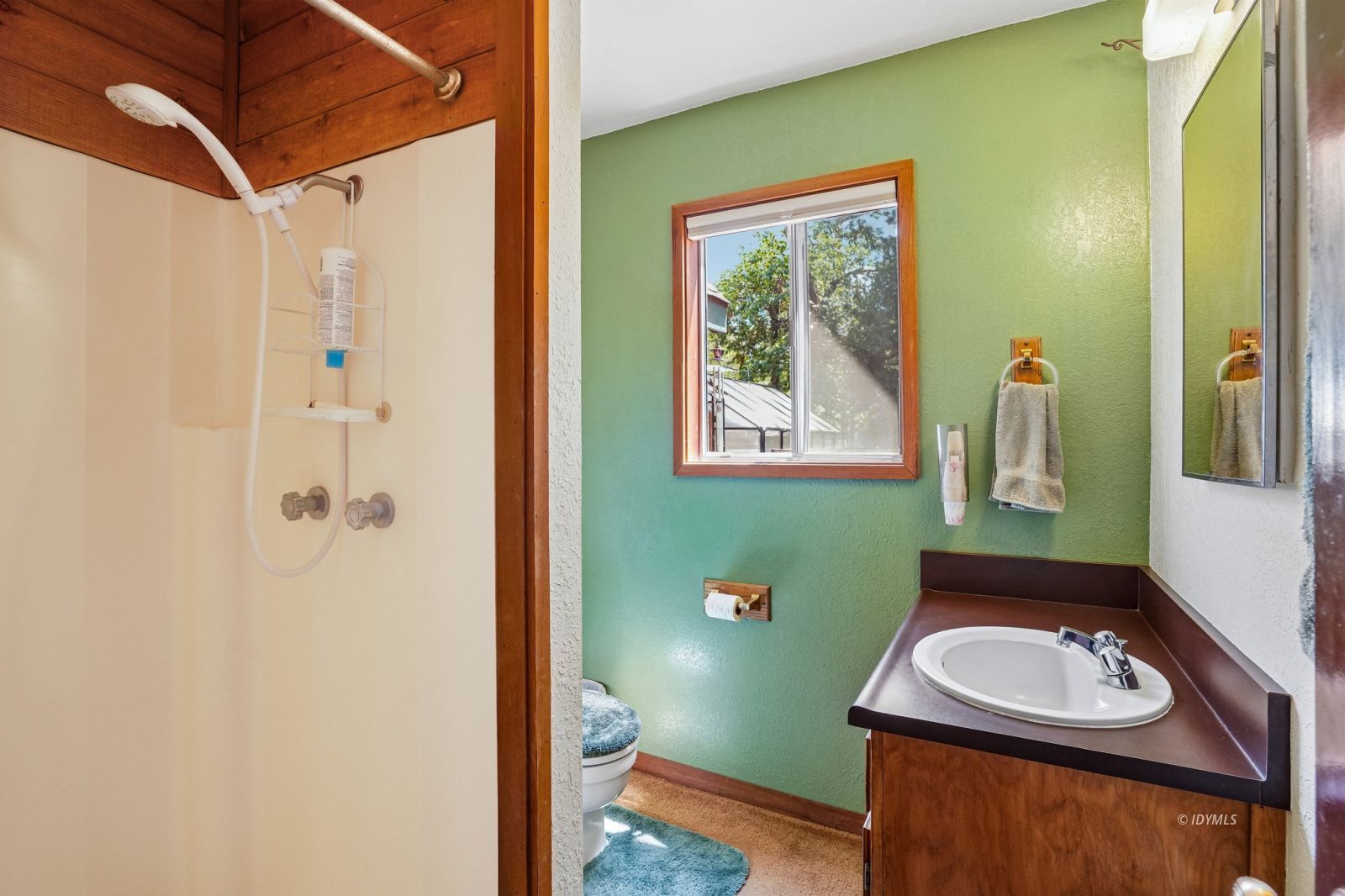 25447 Marion Ridge Drive Idyllwild, CA 92549 - Photo 11 of 41 Bathroom