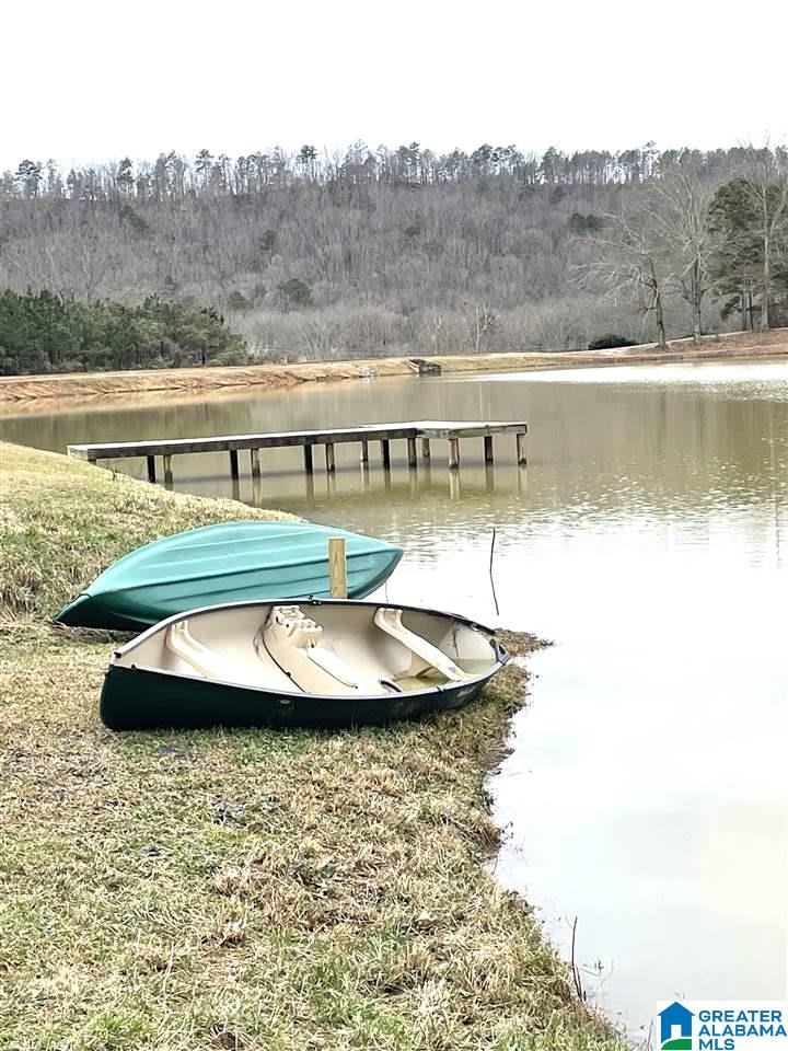 355 Gray Fox Road, Unit 58 Springville, AL 35146 - Photo 6 of 10