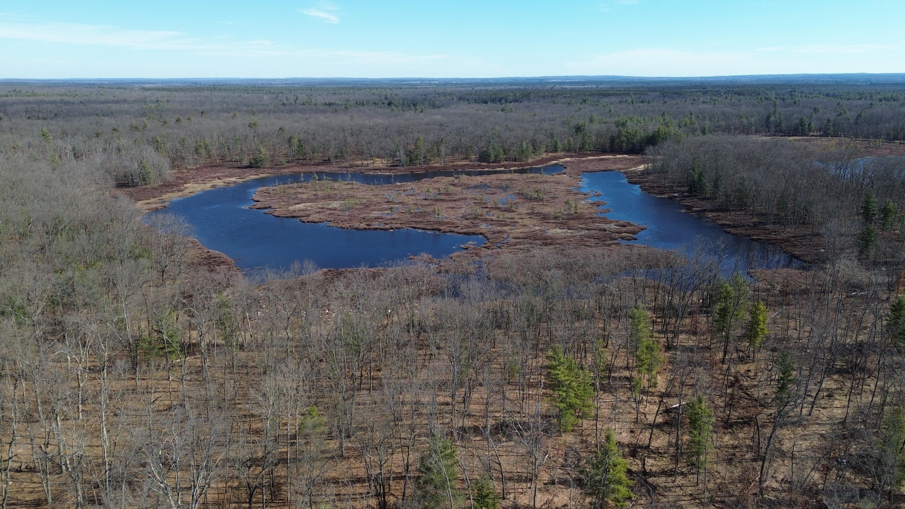 7746 North Woodbridge Road Brohman, MI 49312 - Photo 32 of 41 pond