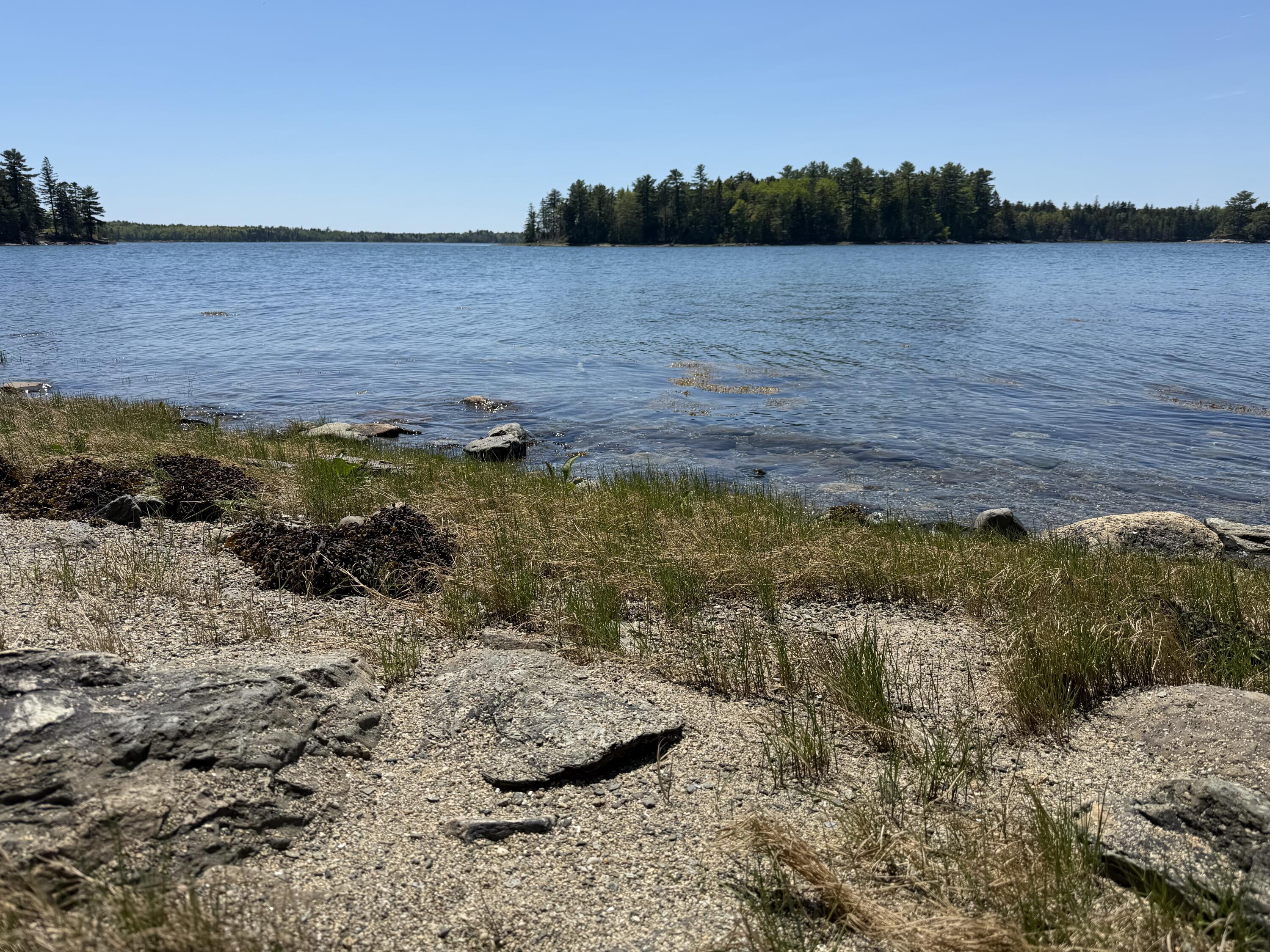Lot 27 Breezy Bay Road Bar Harbor, ME 04609 - Photo 8 of 16 beach
