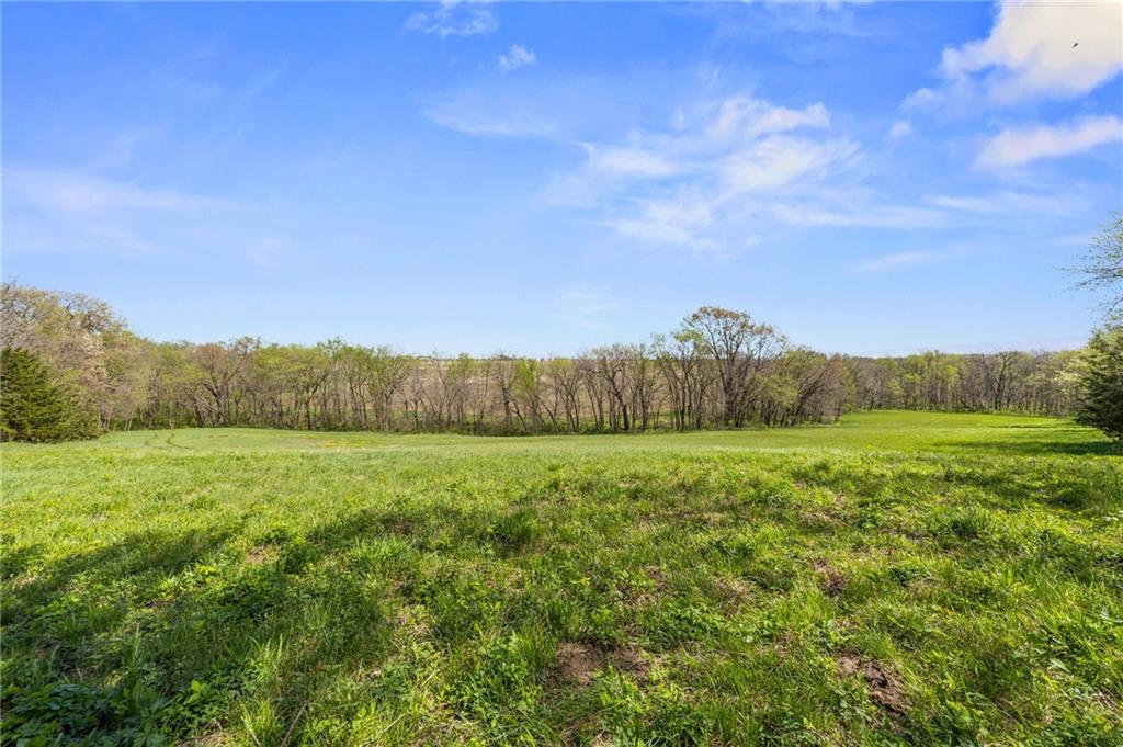 Tbd Wellman Road McLouth, KS 66054 - Photo 6 of 25