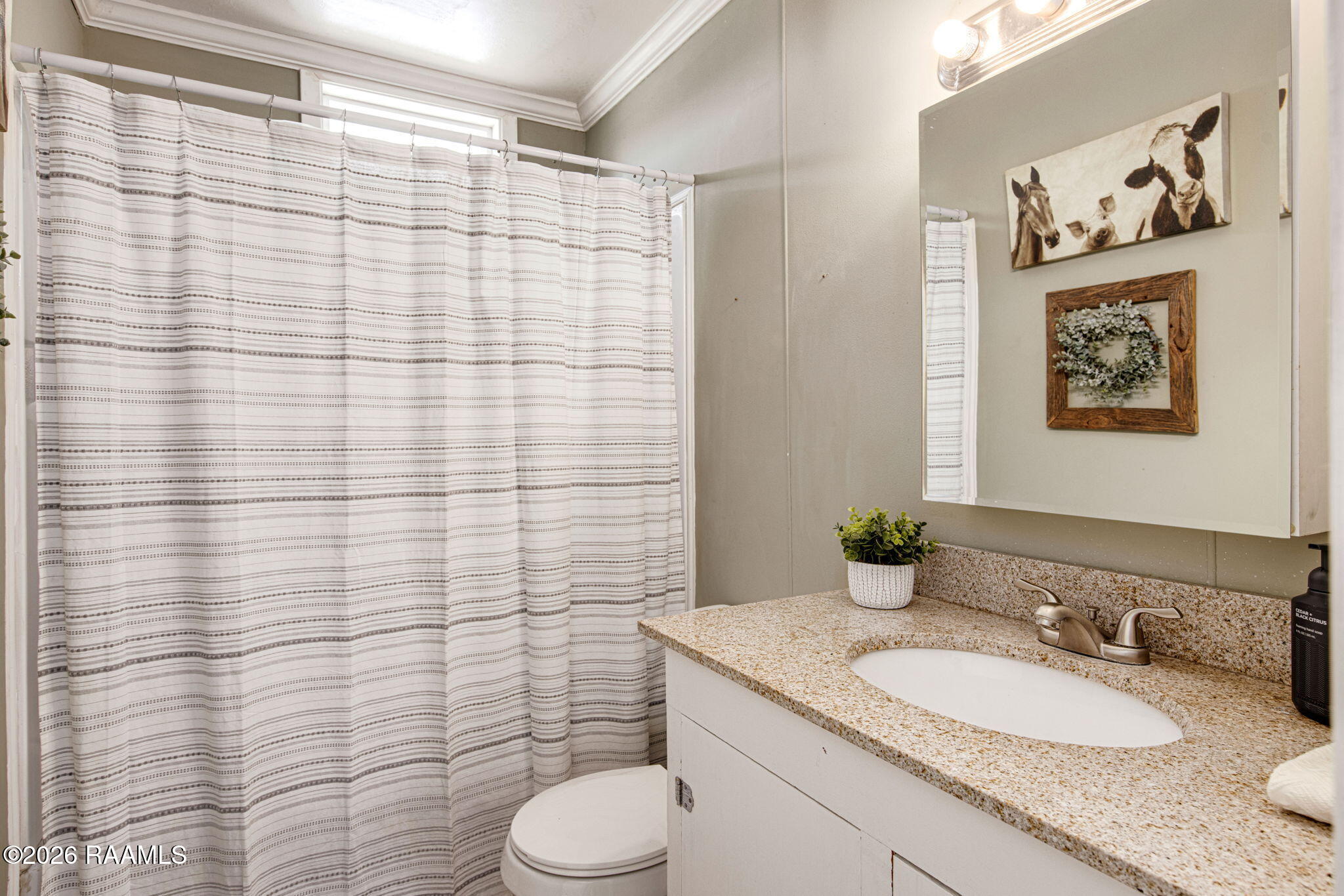 4305 Vida Shaw Road New Iberia, LA 70563 - Photo 14 of 20 Guest Bathroom