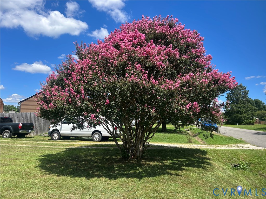 3212 Fielding Road Colonial Heights, VA 23834 - Photo 33 of 33 How about this beauty in your front yard!!