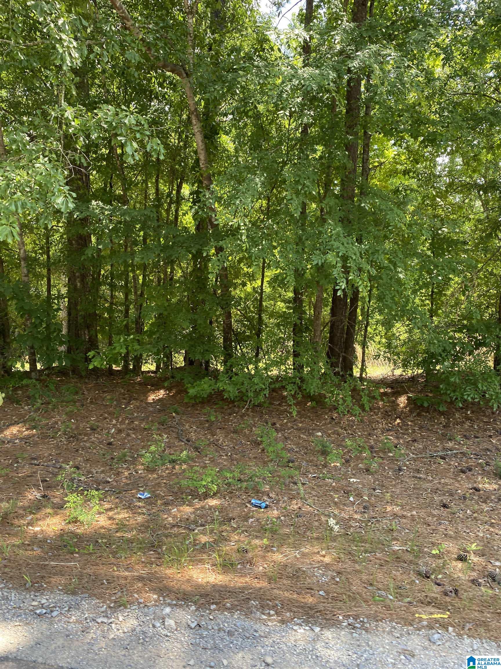 5942 Stemley Road, Unit 1 Talladega, AL 35160 - Photo 5 of 14