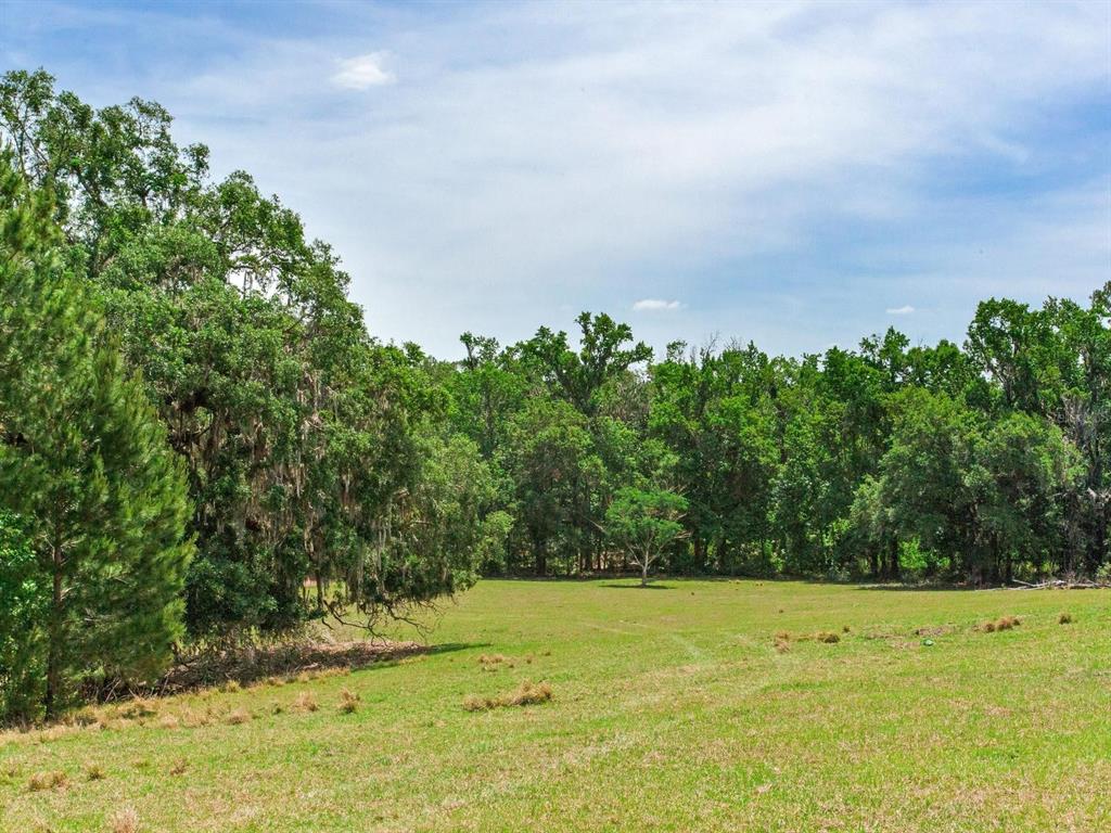 Spring Lake Highway Brooksville, FL 34602 - Photo 6 of 49 a view of a yard with an trees