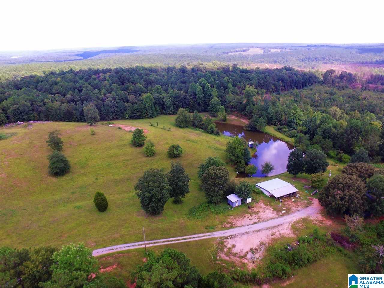 950 County Road 478, Unit 1 Clanton, AL 35046 - Photo 2 of 31