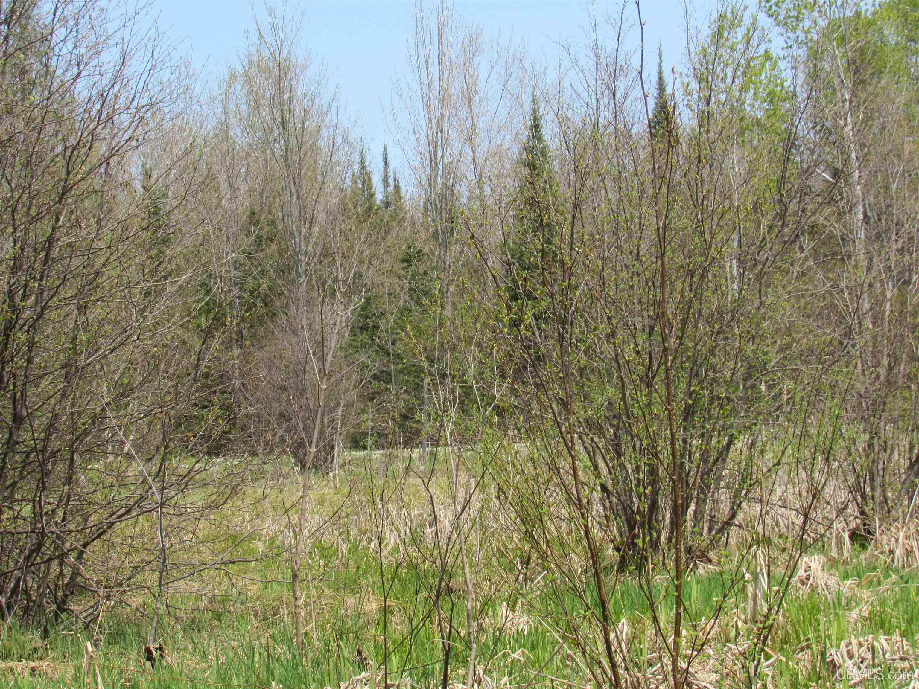 Tbd Deerton-sand Lake Road Deerton, MI 49822 - Photo 15 of 23