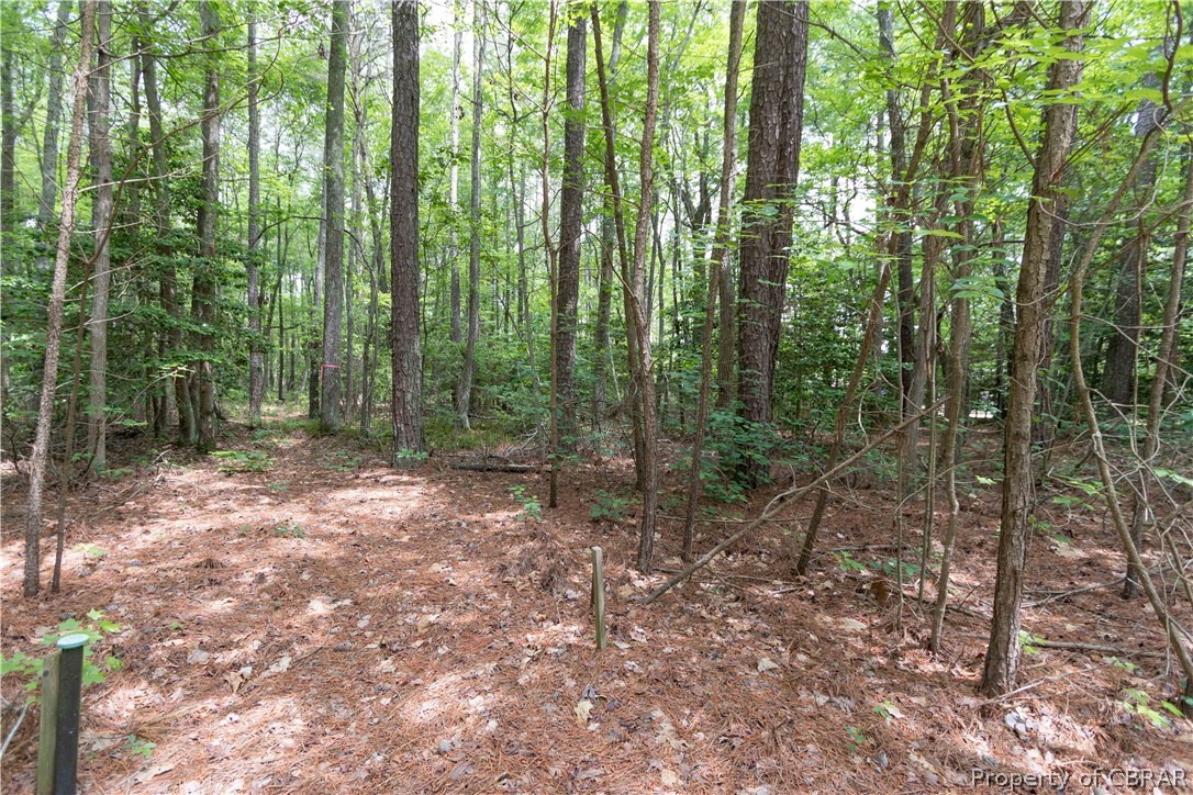 0 Oyster Bay Road Reedville, VA 22539 - Photo 4 of 13 Gallery Image 4