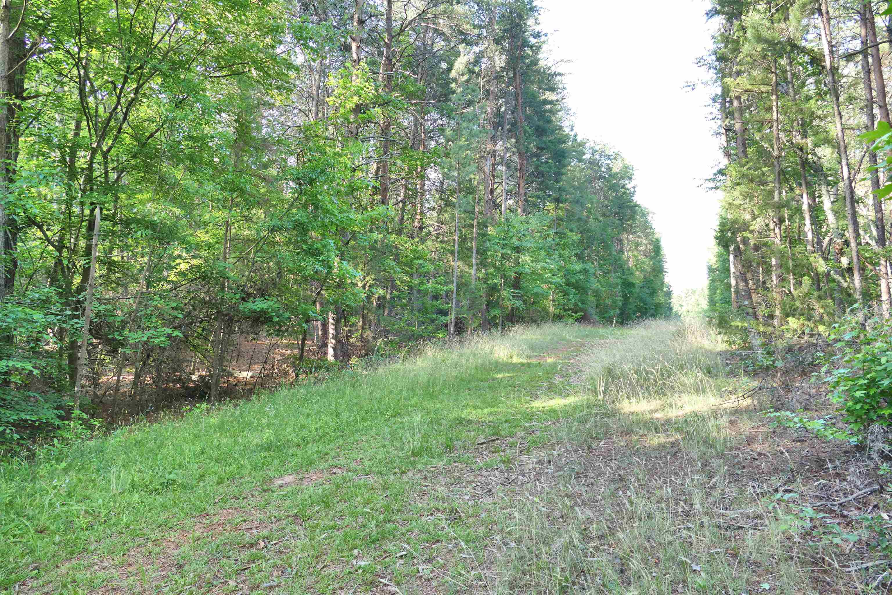 240 Coyl Road Gaffney, SC 29340 - Photo 1 of 13