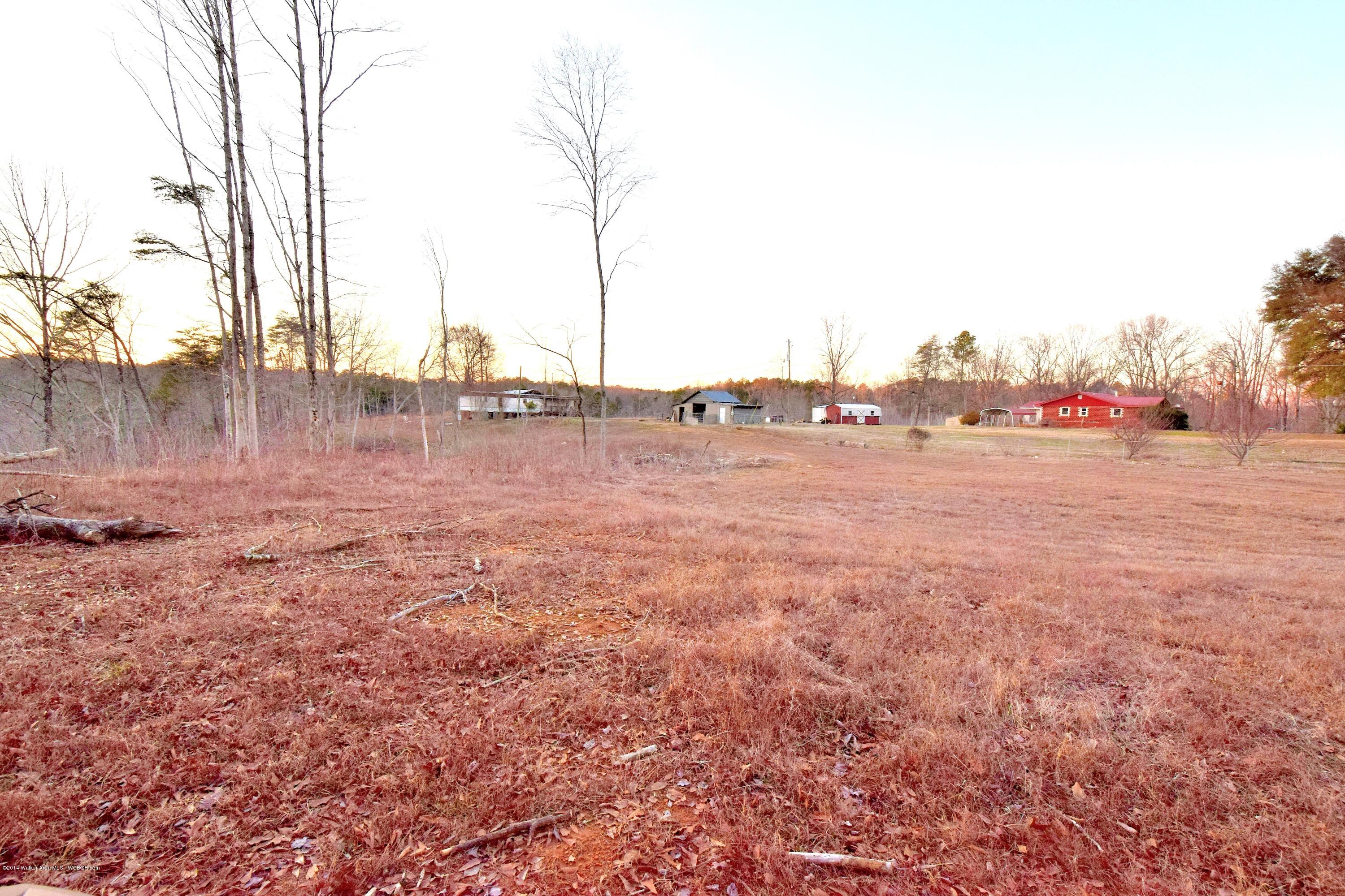 55 Bama Road Jasper, AL 35504 - Photo 18 of 25 Gallery Image 18