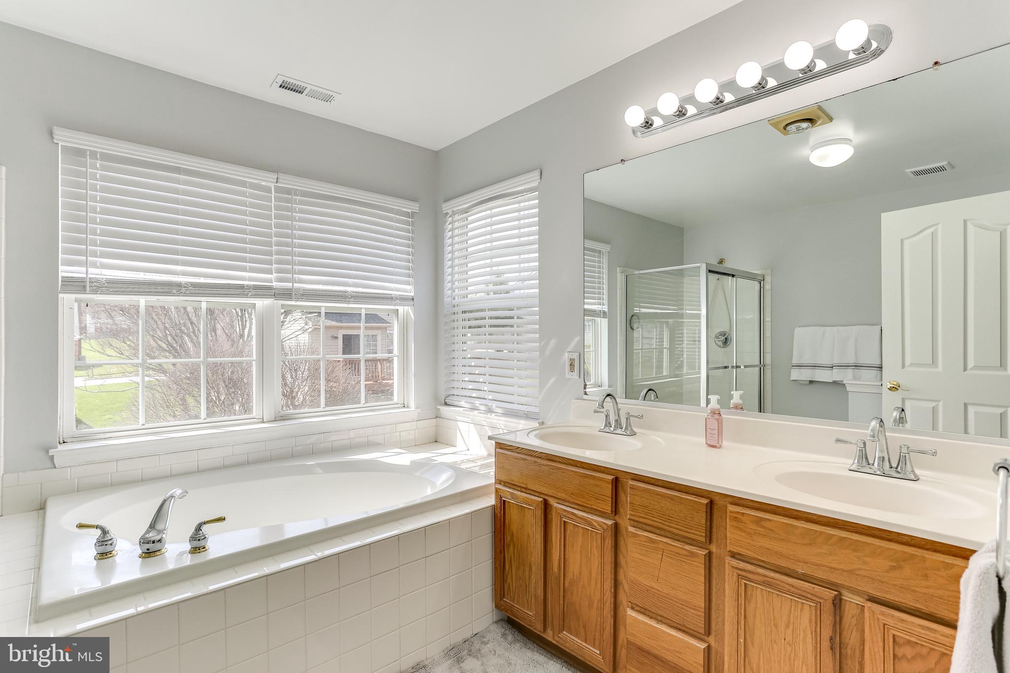 213 Ritterslea Court Owings Mills, MD 21117 - Photo 4 of 32 Primary Bath