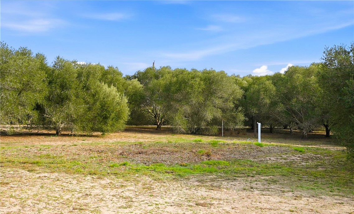 2309 Farm To Market 534 Mathis, TX 78368 - Photo 38 of 40