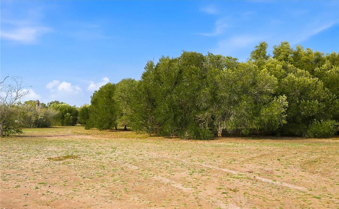 2309 Farm To Market 534 Mathis, TX 78368 - Photo 39 of 40