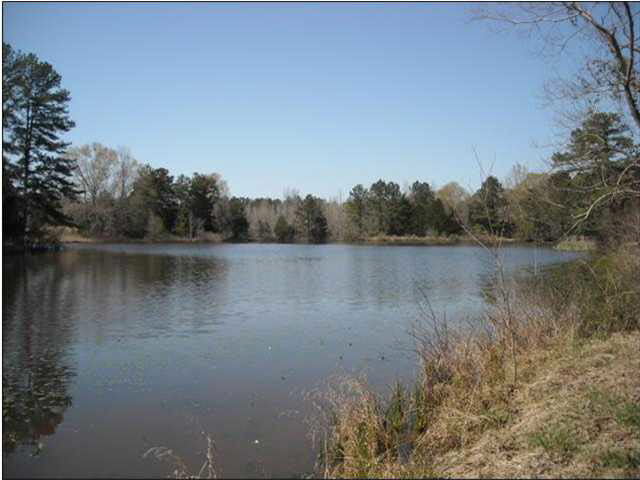 1 Lebanon Pinegrove Road Terry, MS 39170 - Photo 1 of 1 Photo 1