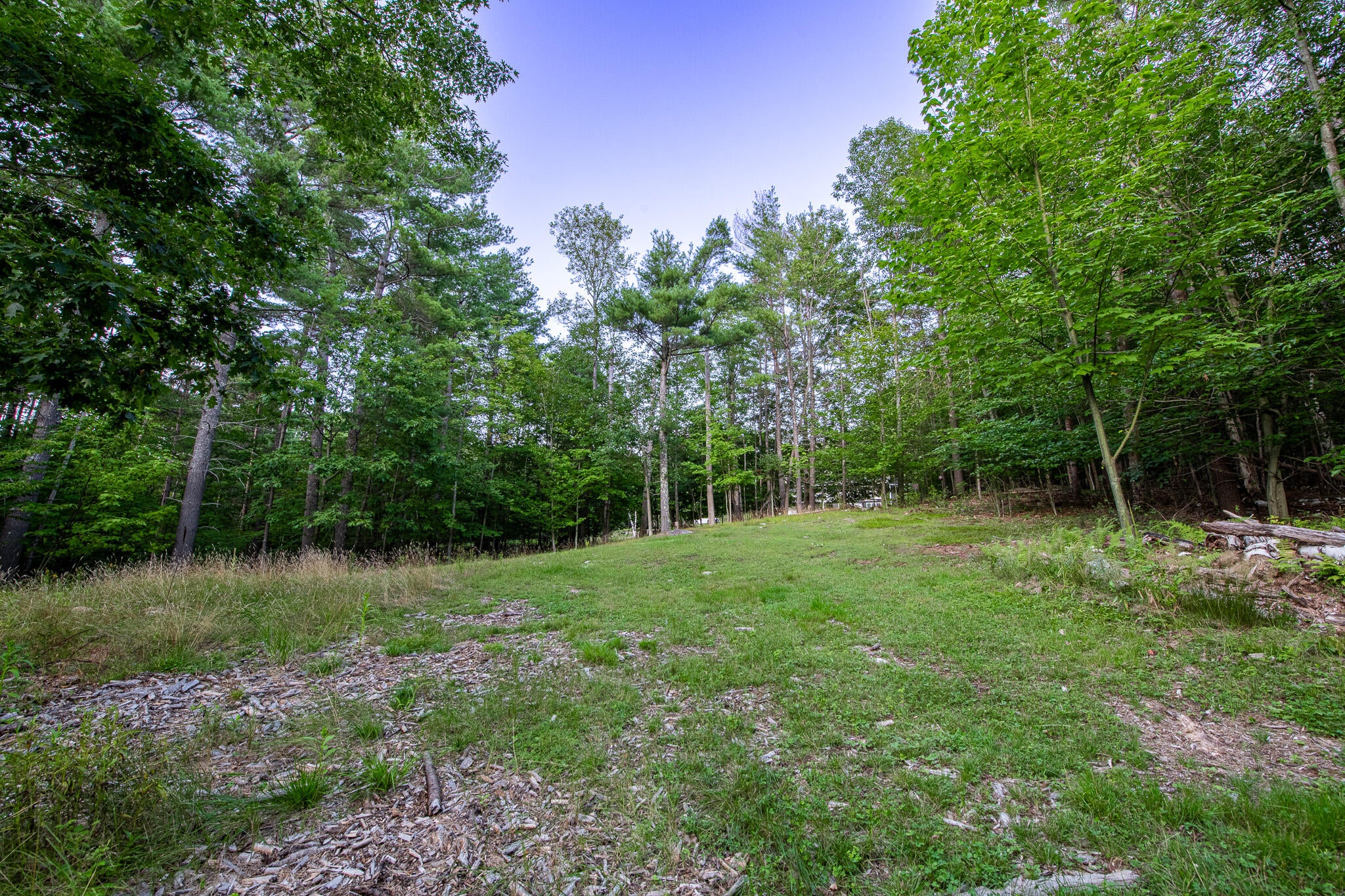 0 Manning Road Wilmington, NY 12997 - Photo 3 of 8 Gallery Image 3