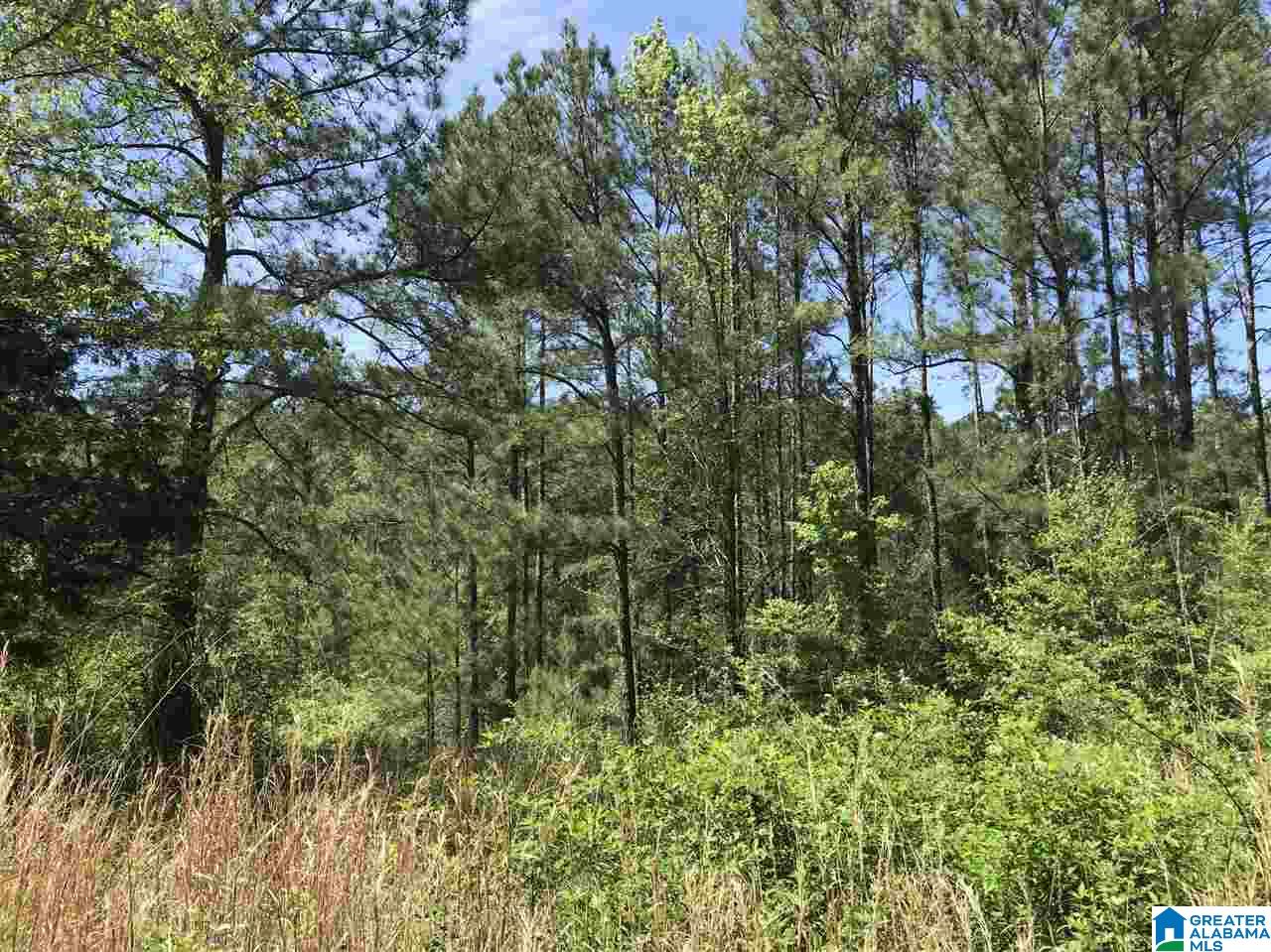 0 Acton Road, Unit 53 ACRE Moody, AL 35004 - Photo 17 of 33 Gallery Image 17