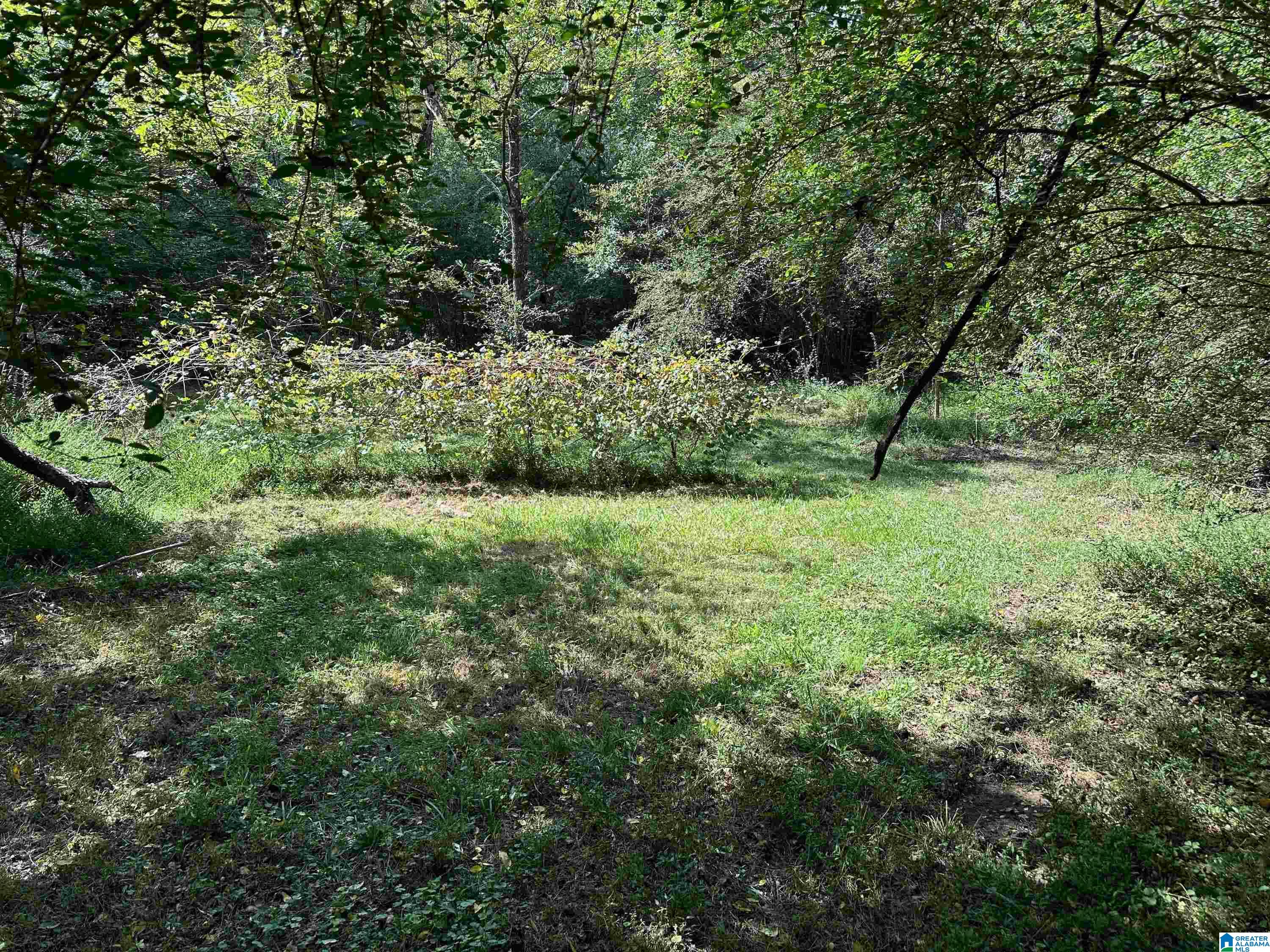 9204 Marsh Mountain Road Pinson, AL 35126 - Photo 42 of 56