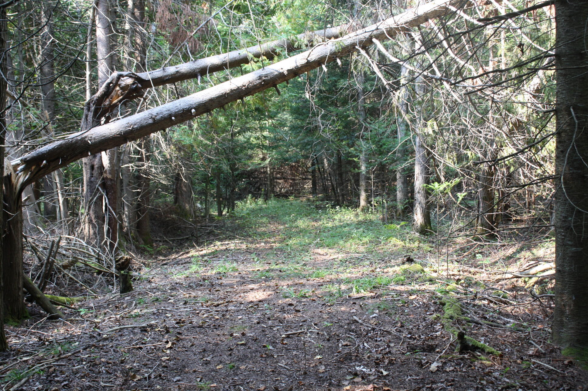 0 North Barlow Road Harrisville, MI 48740 - Photo 13 of 15 Gallery Image 13