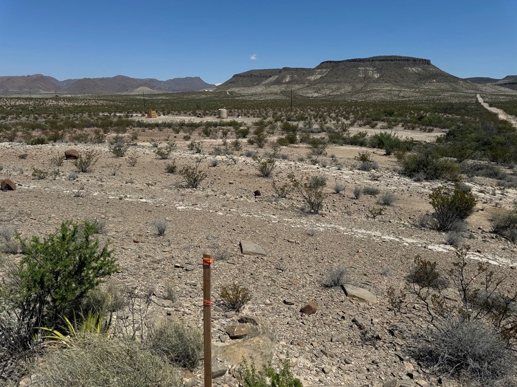 480 Doce Doe Path Alpine, TX 79830 - Photo 2 of 18 View looking South over the property